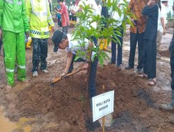 Walikota  Ajak Masyarakat Tanam Pohon Di Kota Bogor