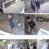 Motor Raib di Sore Hari: CCTV Beberkan Aksi Pencuri di Halaman PKBM Cigudeg