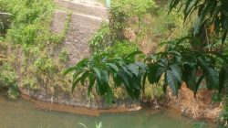 Warga Kampung Nagreg Pangaur Mendesak Pemkab Bogor: Segera Bangun Kembali Jembatan yang Putus Sejak Banjir April